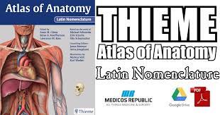( thieme atlas of anatomy ) book, by michael schuenke, erik schulte, udo schumacher, brian macpherson, cristian stefan pdf head, neck, and neuroanatomy. Thieme Atlas Of Anatomy Latin Nomenclature Pdf Free Download