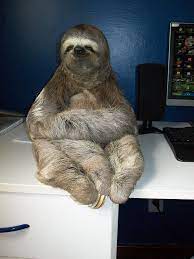 Techy Sloth Says Have You Tried Turning It Off And On Again Lazy Sloths Sloth Animals Beautiful