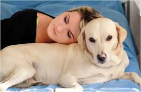 A Husband's Discovery About His Wife and Her Dog Will Surprise You and  Changed Everything - A Husband's Discovery About His Wife and Her Dog Will  Surprise You and Changed Everything -
