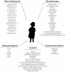 Colonizarea vaginală indică contaminarea de la nivelul rectului. Frontiers Autism Spectrum Disorder Associated With Gut Microbiota At Immune Metabolomic And Neuroactive Level Neuroscience