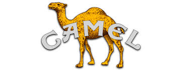 Rdeg • прогрессивный рок • 1979. Camel Music Fanart Fanart Tv