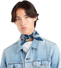 Levi's Paisley Men's Bandana Scarf (Pack of 1), Blue (Navy Blue) :  Amazon.com.be: Fashion