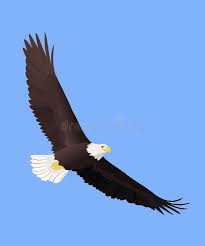 Birds Flying In The Sky Clipart Pin On Vectors Design Hand Drawn