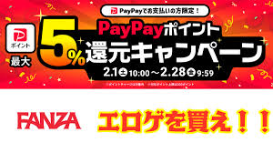 FANZAでPayPayポイント5％キャンペーン！！お得にエロゲ・同人をゲットしよう！！ | とある童貞の大人遊戯