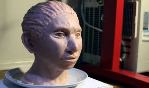 Duitse biochemicus Johannes Krause over 'oer'-Europeanen: 'We zijn allemaal  een mengsel'