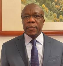 Diplomatic take: Envoys welcome govt work report