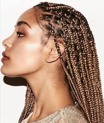 These micro braids don't even. 30 Best Braided Hairstyles For Women In 2020 The Trend Spotter