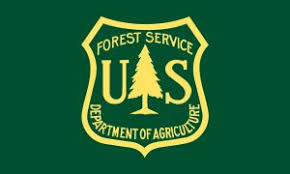 They do not need to be submitted to the dnr. How To Legally Cut Firewood In A National Forest Down To Earth Homesteaders