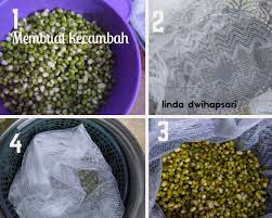 Rendam di dalam baskom yang telah diisi air. Ruang Cerita Membuat Kecambah Sendiri