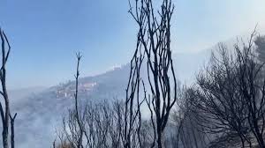 Σε εξέλιξη φωτιά στο δασάκι του μονοδενδρίου. 4fnf0id6zezplm