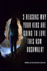 3 Reasons Why Your Kids Are Going To Love This Nsw Australia Bushwalk Kid Friendly Travel Destinations New Zealand Travel Guide Family Travel