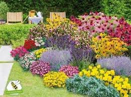 Mein Schoner Garten Staudenbeet Blooms For Months 29 Pflanzen Staudenbeet Gartenpflanzen Winterhart Garten Anpflanzen