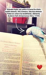 Ayse Orucoglu Adli Kullanicinin Islami Sozler Panosundaki Pin 2020 Alintilar Dualar Dini Alintilar