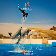 El Delfinario Sonora es algo que no te puedes perder en Guaymas y San Carlos 🐬 ¡Visítanos!😁 ℹ️Para mayor información visita nuestras oficinas ubicadas en Blvd. Tetakawi 19 Plaza el Faro, San