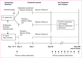 Schematic Flow Chart Of Erastrat Study Procedures Ppi