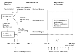 schematic flow chart of erastrat study procedures ppi