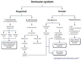 56 High Quality Common Cold Flow Chart