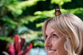 Ants march, whales swoop in Museum of Natural History update