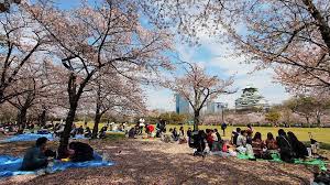 It's unbelievable that they have this big nature area in the middle of a big city. Osaka Travel Osaka Castle Osakajo