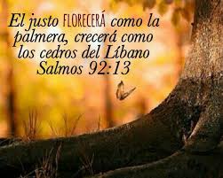 Asi Es Palabra De Vida Versiculos Biblicos Palabras Cristianas