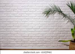 Retro video game brick wall virtual background image. Wall White Bricks Next Plant Pot Stock Photo Edit Now 614229461