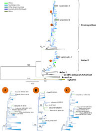 Remastered and available for the first time on vinyl. Phylogenetic Tree Of Dengue Virus Serotype 2 Denv 2 Sequences From Download Scientific Diagram