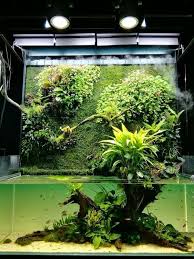 Aquascape Indonesia Akuarium Surabaya Bali