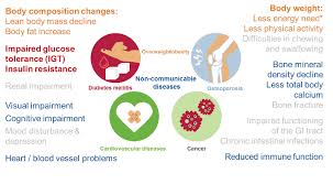 Image result for Body Composition Changes with Aging