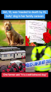 Tragic Malton Incident: XL Bully Dog Mauls 10-Year-Old Girl in Family  Caravan