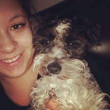 Maybe you would like to learn more about one of these? Our Dogs Sparkling Schnauzers Miniature And Giant Schnauzers Breeders In Phoenix Metro Area