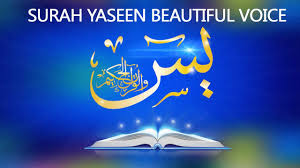 Salam yasin suresini halal edin yukledim birde rica edirem yasin bitdikden sora fatiheni vermeyide yazinda zehmet olmasa o fatihesin yazardiz. Surah Yasin Surah Yasin Full Surah Yasin Sharif With Beautiful Voice Youtube