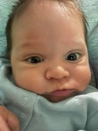 Dominic Anthony Estorga