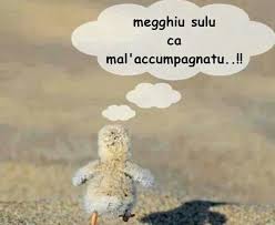 Pin Di George Checchi Su Sicilia Immagini Divertenti Proverbi Sicilia