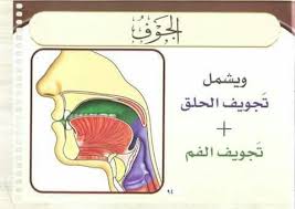 مخرج الجوف Islam Facts Quran Disney Characters