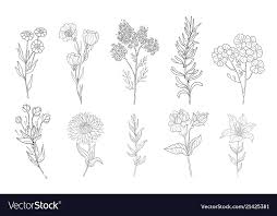 Original from biodiversity heritage library. The Art Of Botanical Drawing Pdf Art Wallpaper