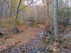 Dogs are also able to use this trail but must be kept on leash. Cabin John Creek Wikipedia