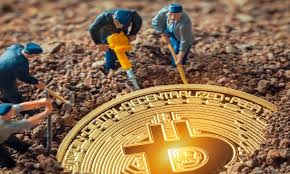 Our ripple xrp latest news also keeps investors updated in this case as well. Zs6robwonl3frm