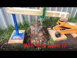 Removing Tree Stump With Trolley Jack Youtube Removing Tree Stumps Tree Stump Stump Removal
