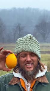 Citrus in cold, old, Missouri! Amazing trees produced thousands of fruit in  our cold winter climate. #citrus #rareseeds