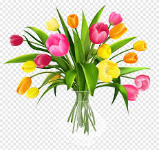Fiori rosa sul legno con la parola buon compleanno. Mazzo Di Tulip Flower Vaso Con I Tulipani Illustrazione Gialla E Rosa Di Disposizione Dei Tulipani Compleanno Tagliare I Fiori Png Pngegg