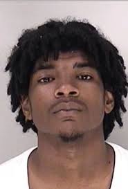 Digging deeper into the Carrie Mays Park shooting