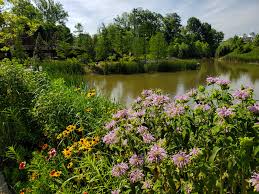 Maybe you would like to learn more about one of these? Wildflower Gardening In Oklahoma Oklahoma State University