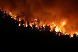 Servicio de atención a la. Incendios Forestales En Grecia Dejan Destruccion A Su Paso Y Cientos De Evacuados La Tercera