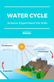 Water Cycle Water Cycle Water Cycle For Kids Science For Kids