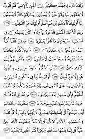 Maybe you would like to learn more about one of these? Quran At Tawba Al Qasas Al Baqara Surah Png 800x1294px Quran Alahqaf Albaqara Alfath Aljathiya Download Free