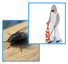 Learn more about all natural pest control using various essential oils. Pest Control Epping 0488 841 687 Home Office Pest Control