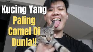 Ikan pertama senyum depan kamera. Kucing Yang Paling Comel Di Dunia Di Dunia Weng Hehehehe Youtube