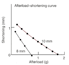 Image result for Afterload