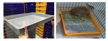 Best wooden hay feeder for rabbit | free shipping worldwide. Litterbox Setup Bunny Wonderland