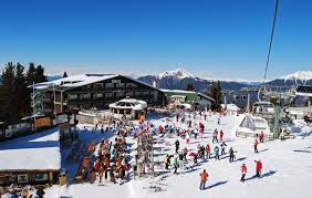 Dal 1982 trademark italia è società leader nel turismo e nell'industria dell'ospitalità con consulenze specialistiche, manuali operativi e osservatori della domanda. Hotel Eurotel Cermis Trentino Alto Adige Cavalese Tn Offerta Lidl Viaggi Montagna Neve Wellness Bambini Gratis